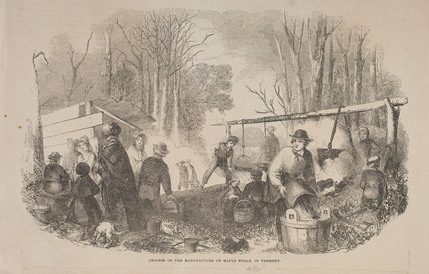 Process of the Manufacture of Maple Sugar in Vermont, Gleason's Pictorial, 1852