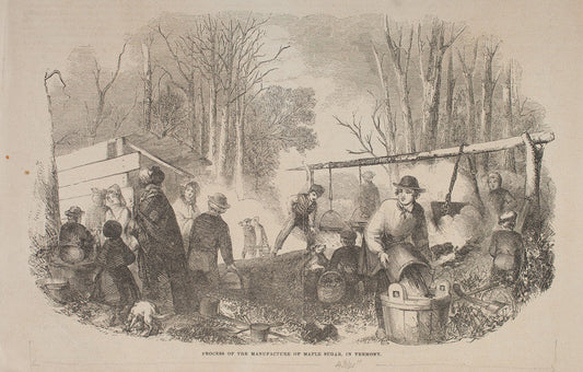 Process of the Manufacture of Maple Sugar in Vermont, Gleason's Pictorial, 1852
